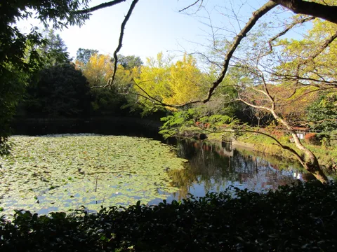 Mitsuike Park