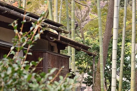 Sankeien