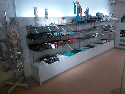 Silk Museum