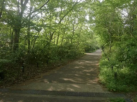 Yokohama Nature Sanctuary (Nature Observation Forest)