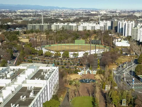 Yokohama Park and Yokohama Stadium